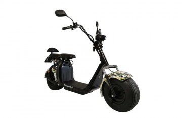 Ecruiser x1 camouflage