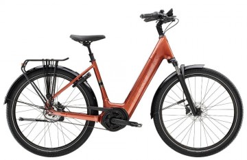 Trek district 4 pennyflake